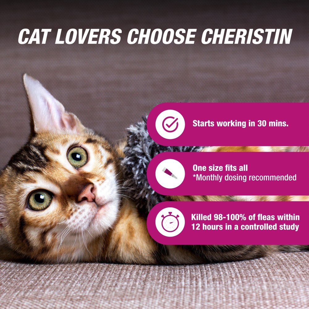 CHERISTIN-CATS-3-DOSES