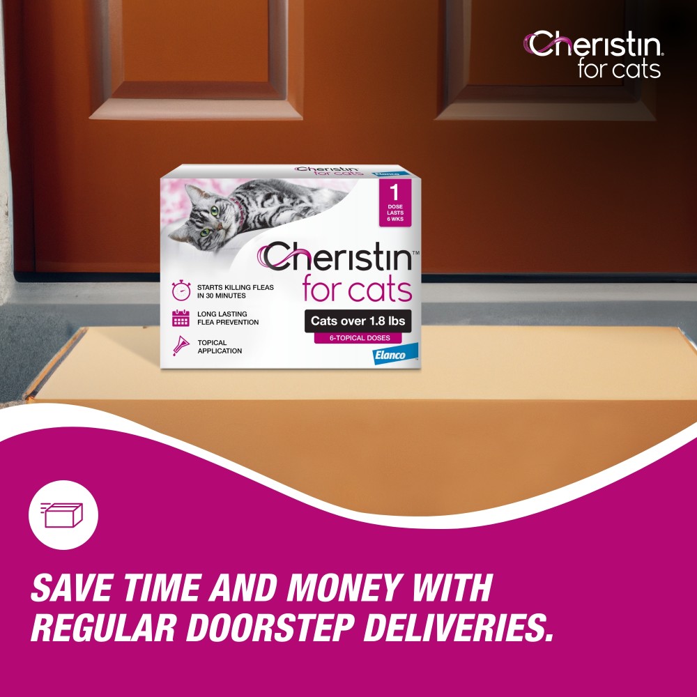 CHERISTIN-CATS-6-DOSES