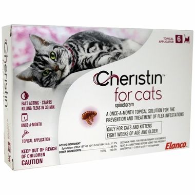 CHERISTIN-CATS