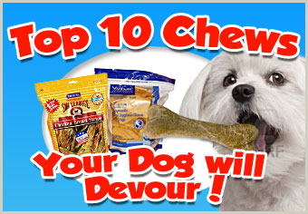 Chews Your Dog Will Devour!!