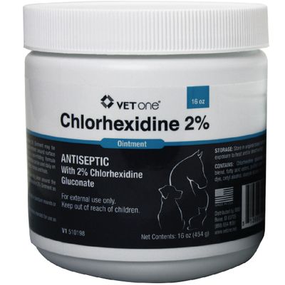 Chlorhexidine 2% Ointment (16 oz)