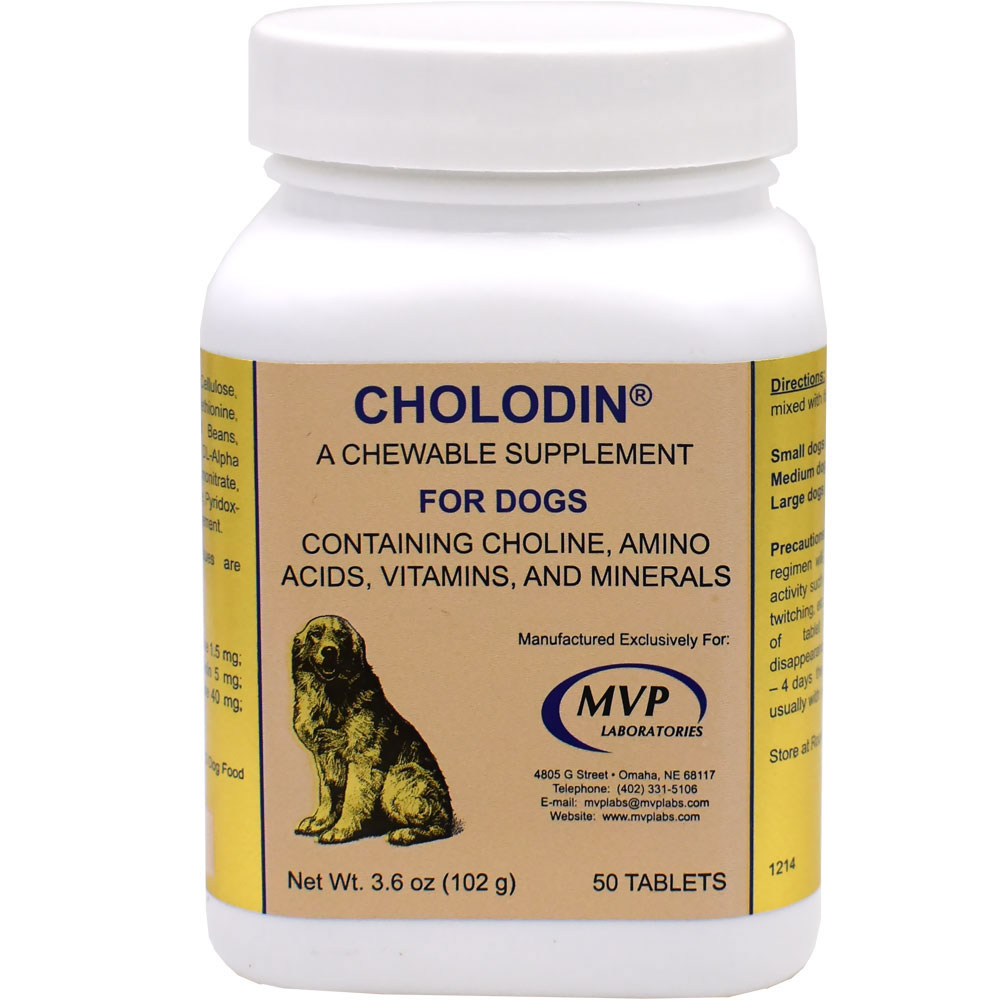 Cholodin