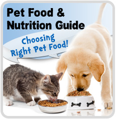 Choosing The Right Cat Food For Your Cat