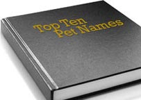 Choosing The Right Name For Your pet