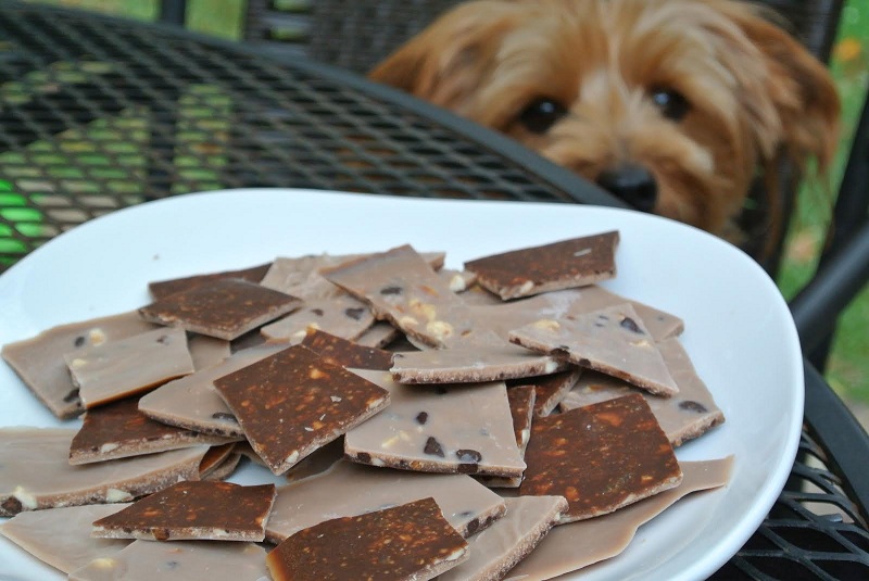 Christmas Carob Bark Recipe for Dogs