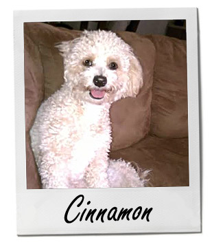 Cinnamon 12/18/13