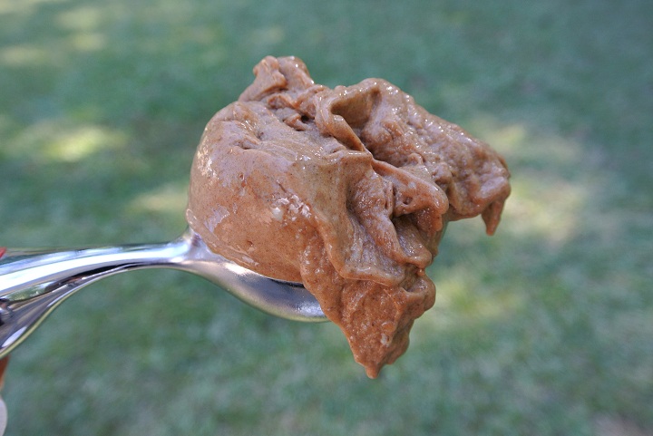Cinnamon Carob Ice Cream Recipe for Dogs
