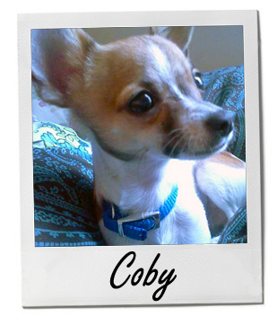 Coby 4/30/14