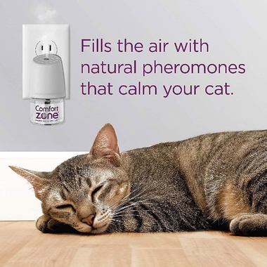 COMFORT-ZONE-DIFFUSER-1-PACK