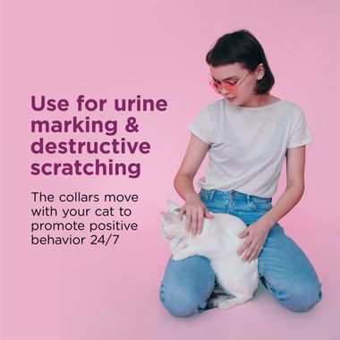 COMFORT-ZONE-CALMING-PHEROMONE-COLLAR-FOR-CATS-1CT