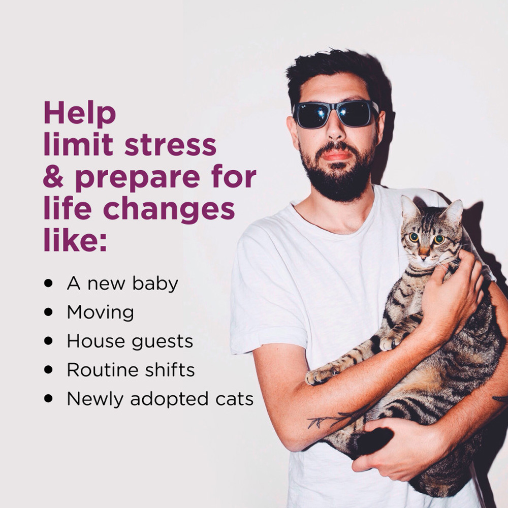 COMFORT-ZONE-CAT-CALMING-DIFFUSER-REFILLS-2PK