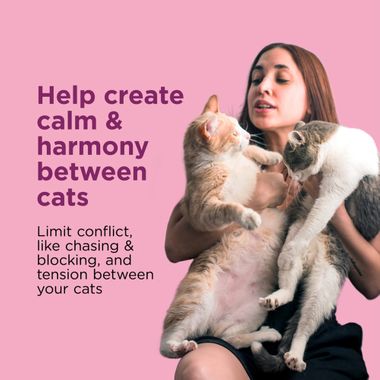 COMFORT-ZONE-MULTI-CAT-CALMING-DIFFUSER-REFILLS-1PK