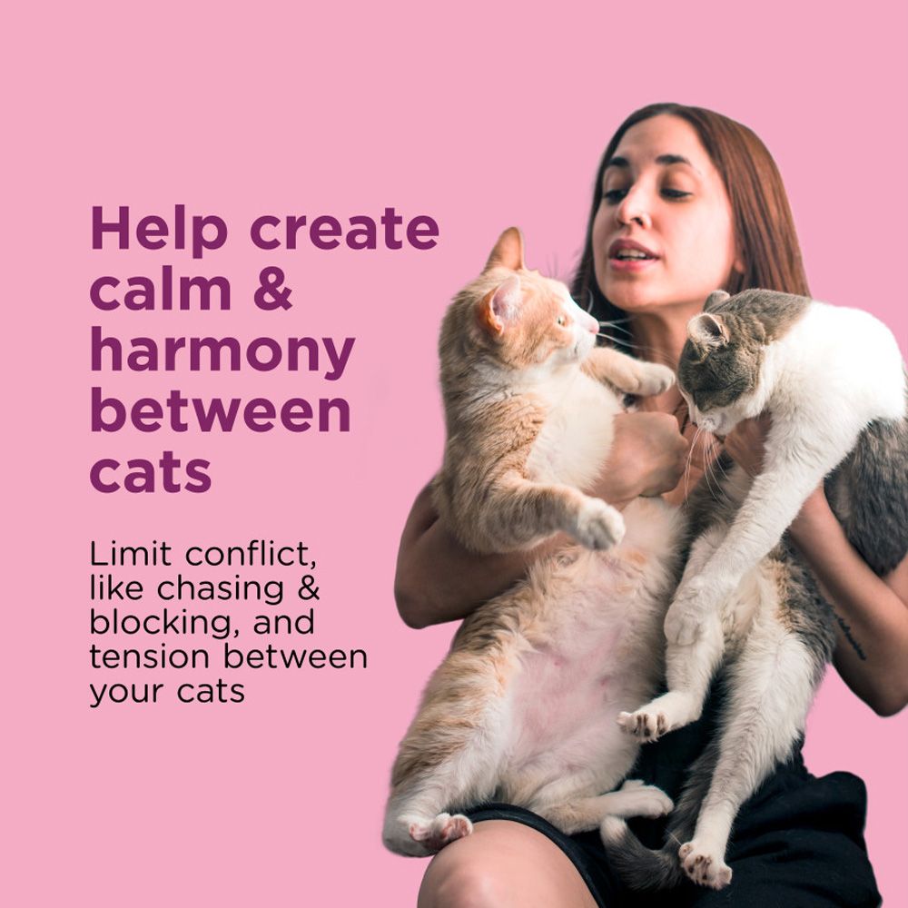 COMFORT-ZONE-MULTI-CAT-CALMING-DIFFUSER-REFILLS-1PK