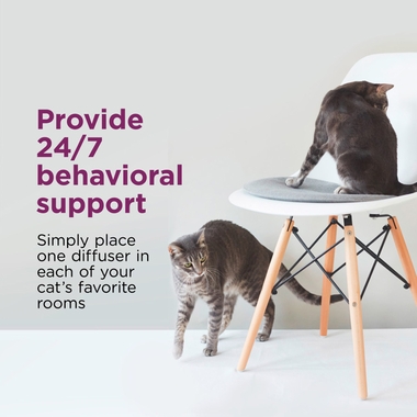 COMFORT-ZONE-MULTI-CAT-CALMING-DIFFUSER-REFILLS-1PK