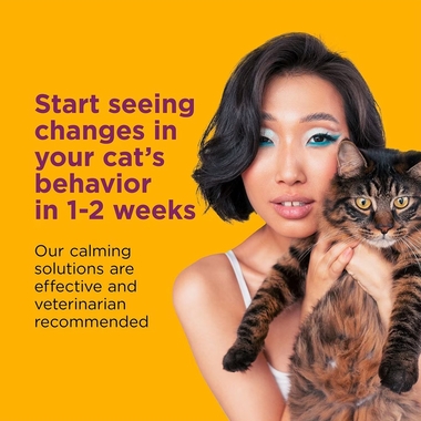 COMFORT-ZONE-SPRAY-SCRATCH-CONTROL-SPRAY-FOR-CATS-KITTENS-2OZ