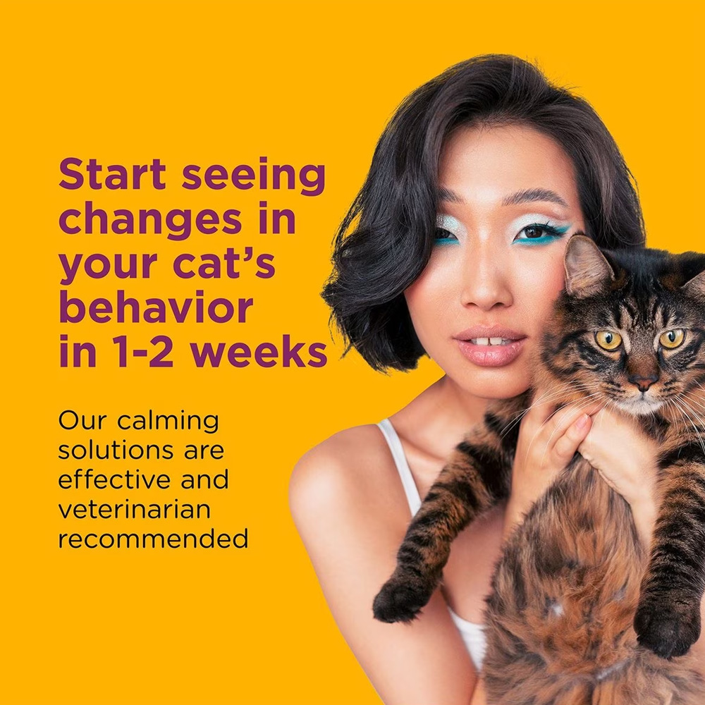 COMFORT-ZONE-SPRAY-SCRATCH-CONTROL-SPRAY-FOR-CATS-KITTENS-2OZ