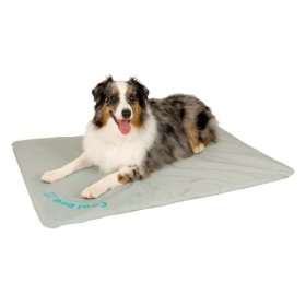 Cool Bed III for Pets