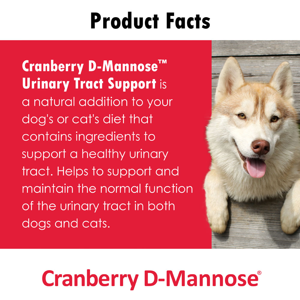 CRANBERRY-D-MANNOSE-URINARY-TRACT-SUPPORT-120-SOFT-CHEWS