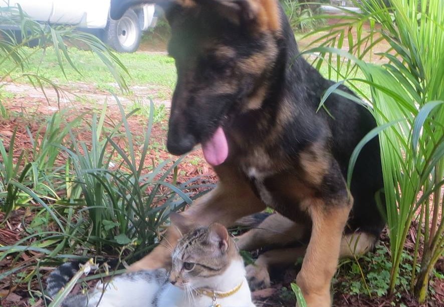 Cute Pet Photo Contest:WINNER