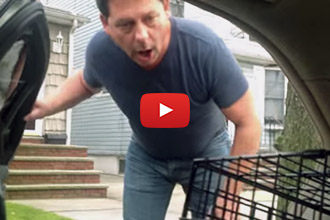 Dad Gets a Surprise New Puppy and Has the Greatest Reaction Ever!