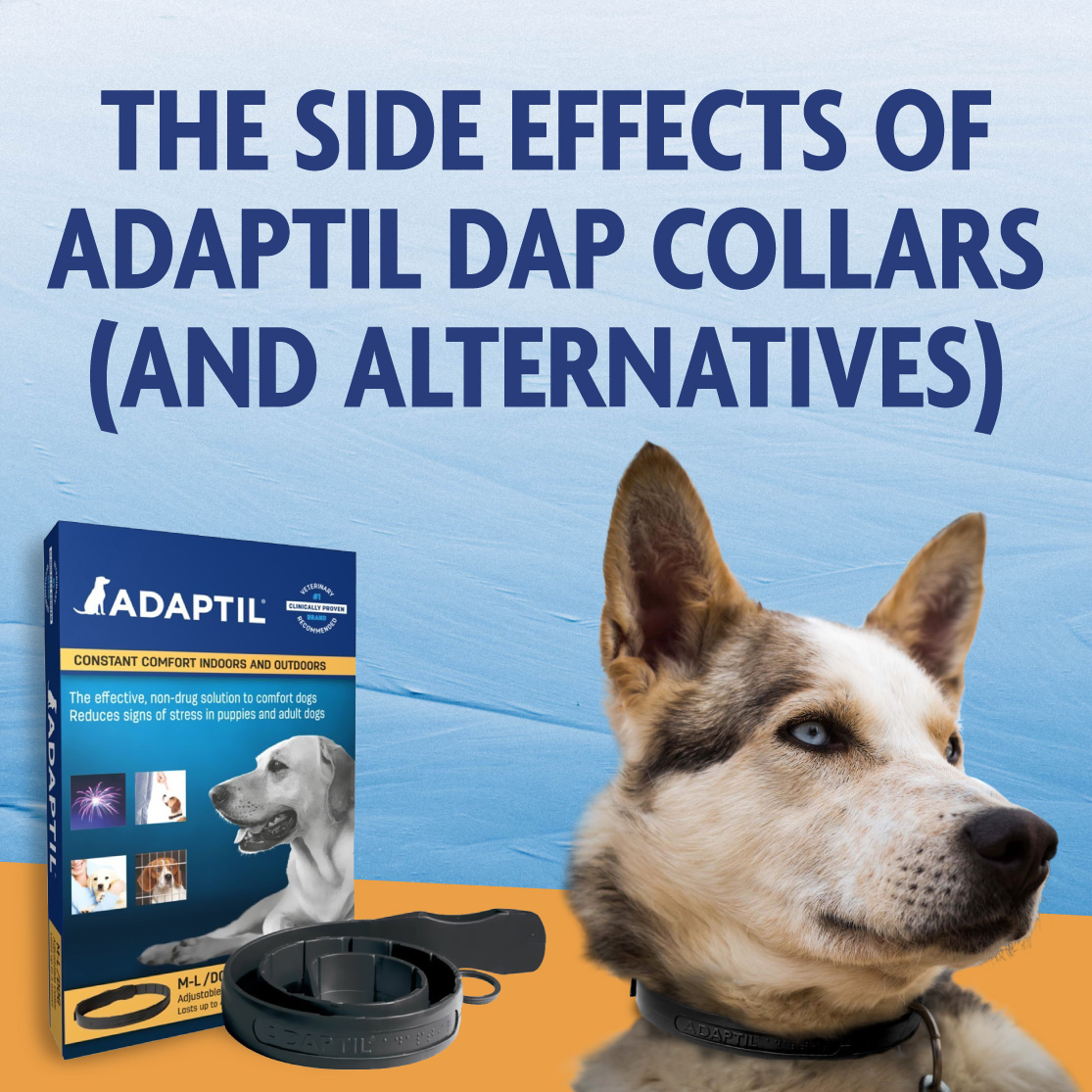 Adaptil DAP Collar Side Effects