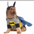 DC Costumes