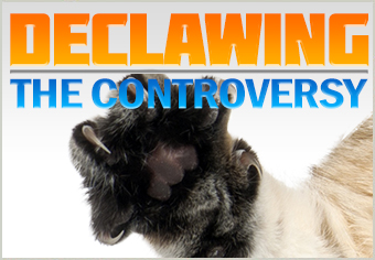 Declawing the Controversy