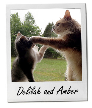 Delilah & Amber 12/29/14