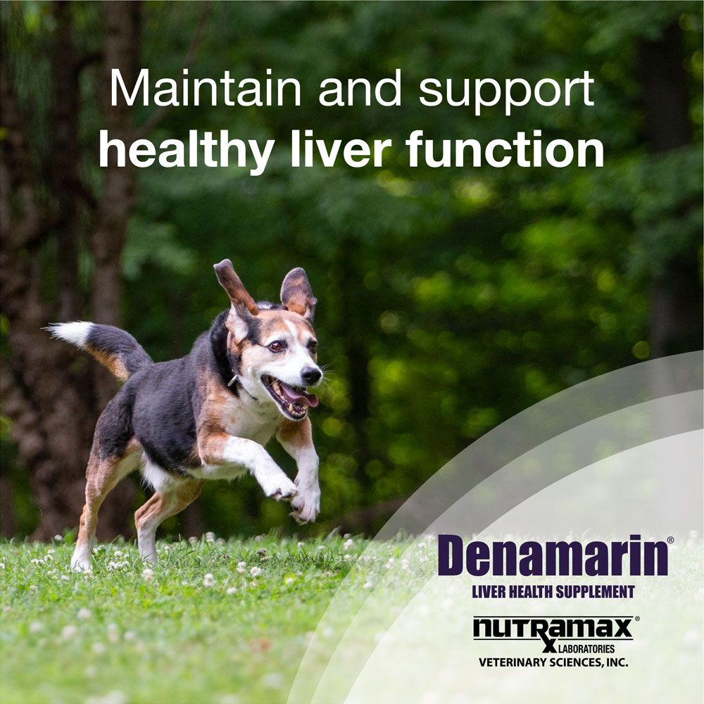 Denamarin for Medium Dogs (30 Tabs) EntirelyPets