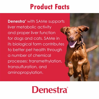 DENESTRA-400MG