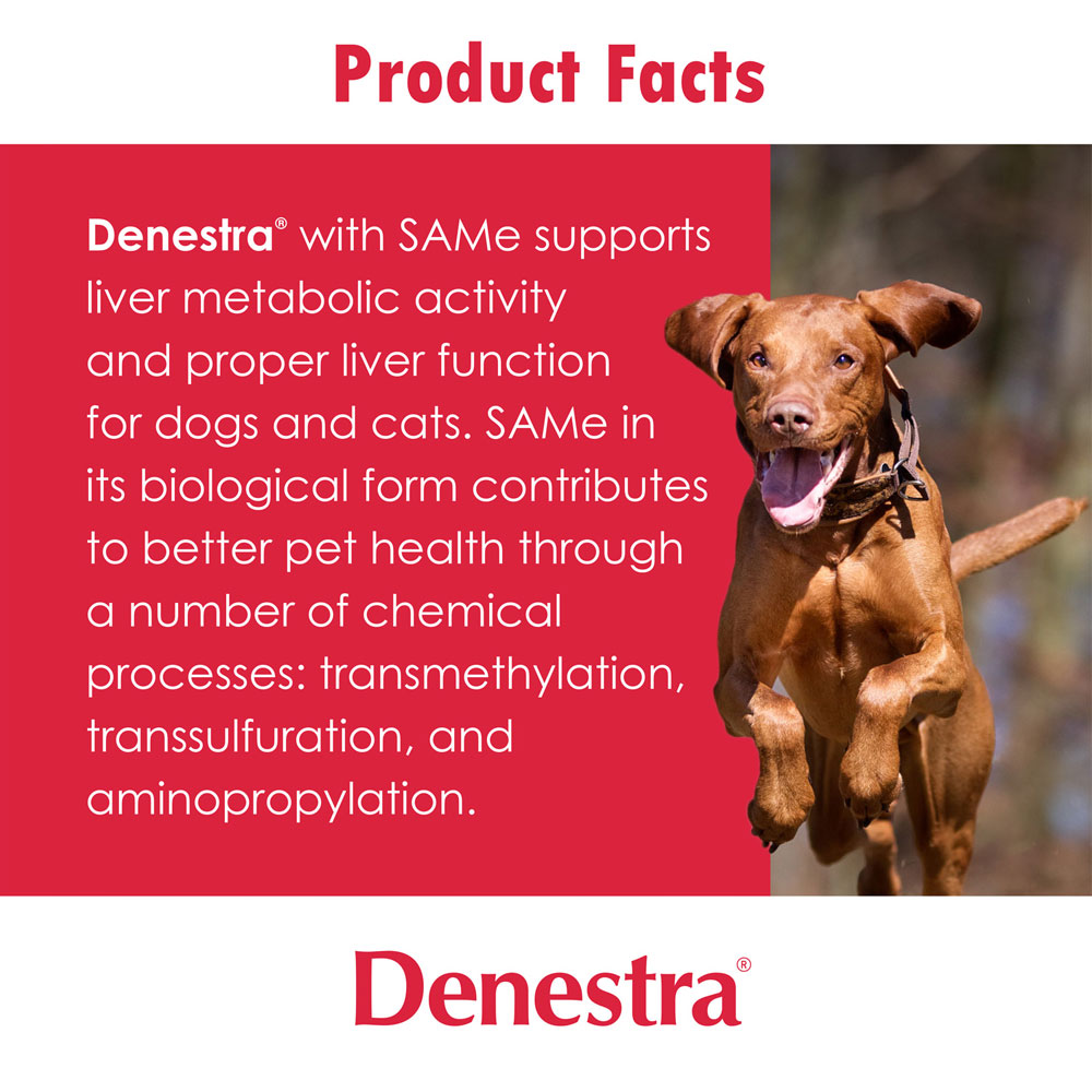 DENESTRA-400MG