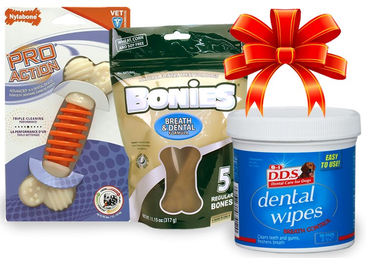 Dental Kit for Dogs