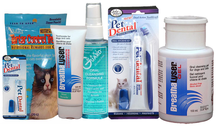 Dental Products for Cats 