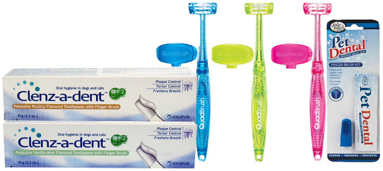 Dental Toothbrushes for Cats 