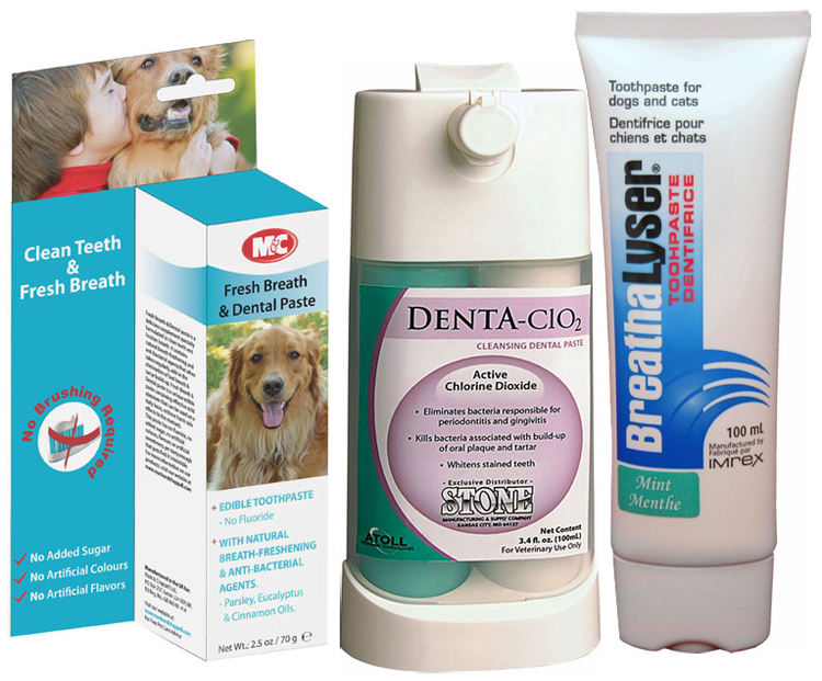 Dental Toothpastes for Dogs
