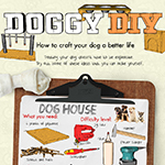 DIY Projects For Dog Owners