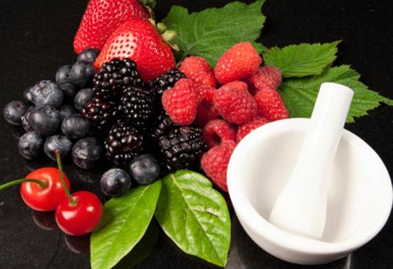 Does Your Dog Need Antioxidants?