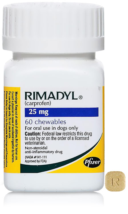 Dog and Cat Prescription Medication Articles