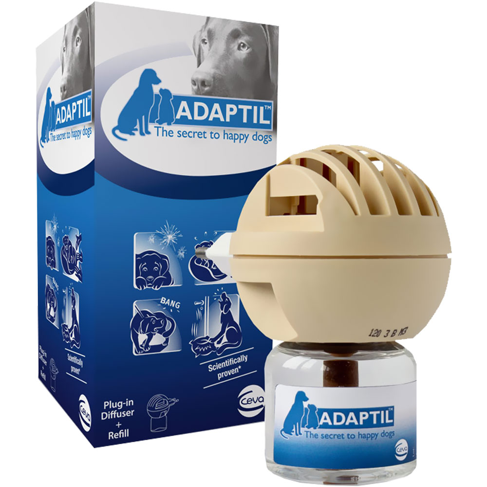 Dog Anxiety & Stress Solutions