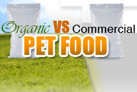 Dog Food Battle! Organic vs Commercial Dog Foods