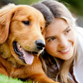 Dog Lovers