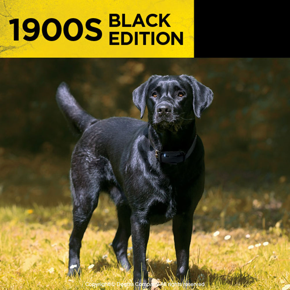 DOGTRA-1900S-ECOLLAR-REMOTE-TRNG-SYSTM-1ML-UP-TO-35LBS-DOG-BLK