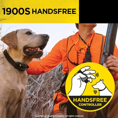 DOGTRA-1900S-HADSFR-ECOLLAR-REMOTE-TRNG-SYSTM-3-4ML-1DOG