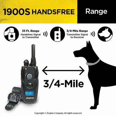 DOGTRA-1900S-HADSFR-ECOLLAR-REMOTE-TRNG-SYSTM-3-4ML-1DOG