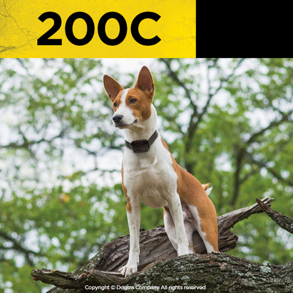 DOGTRA-COMPACT-REMOTE-TRAINER-1DOG