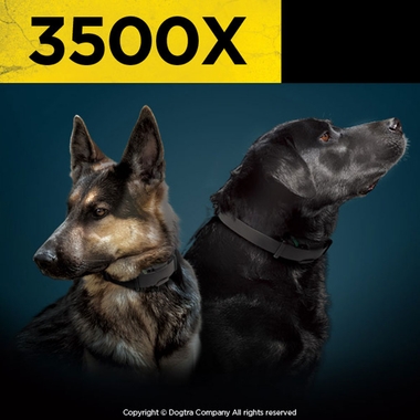 DOGTRA-3500X-ECOLLAR-REMOTE-TRNG-SYSTM-1-1-2ML-1DOG