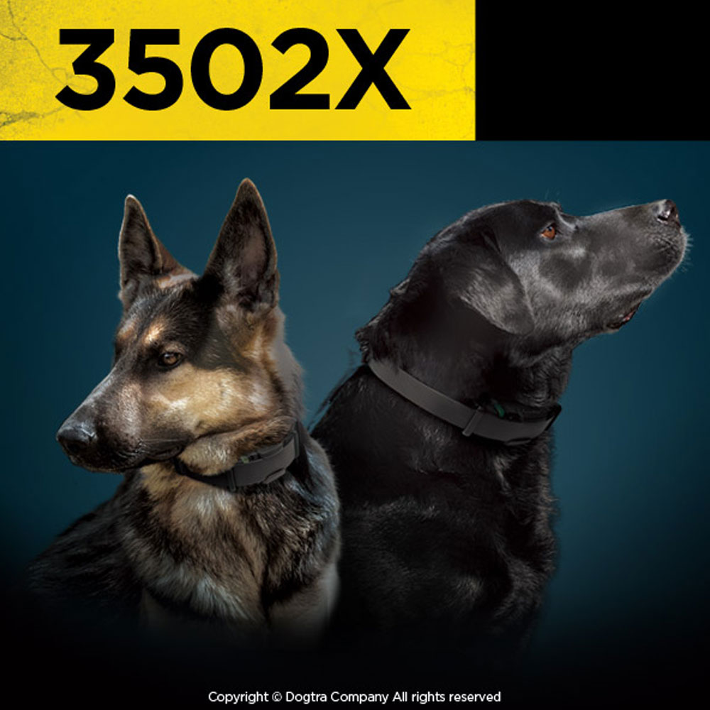 DOGTRA-3502X-ECOLLAR-REMOTE-TRNG-SYSTM-1-1-2ML-2DOG