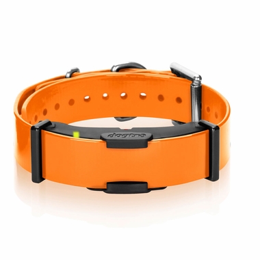 DOGTRA-ARC-EXTRA-COLLAR
