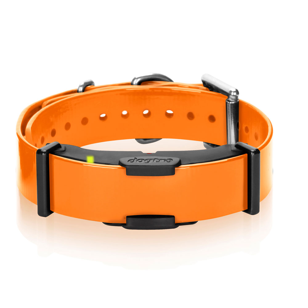 DOGTRA-ARC-EXTRA-COLLAR