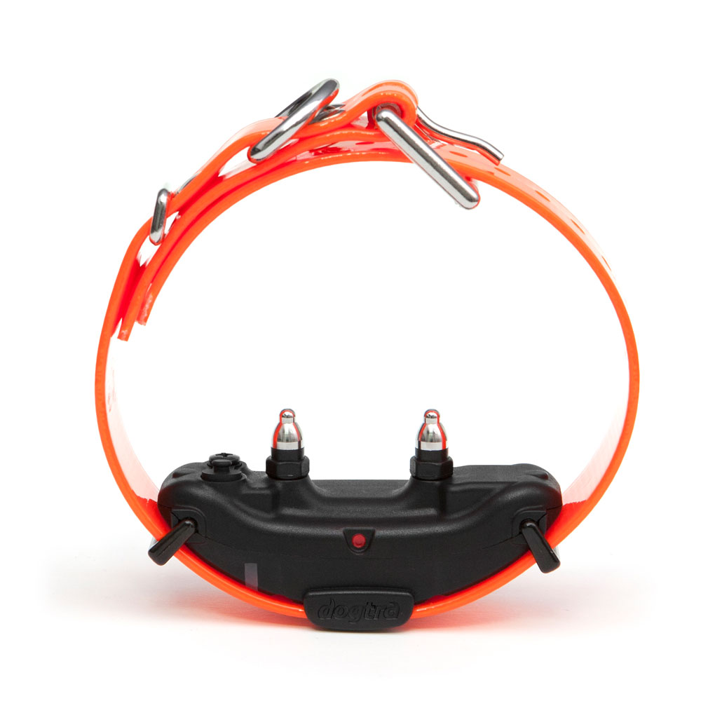 DOGTRA-ARC-EXTRA-COLLAR